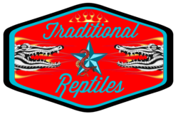 Traditional Reptiles